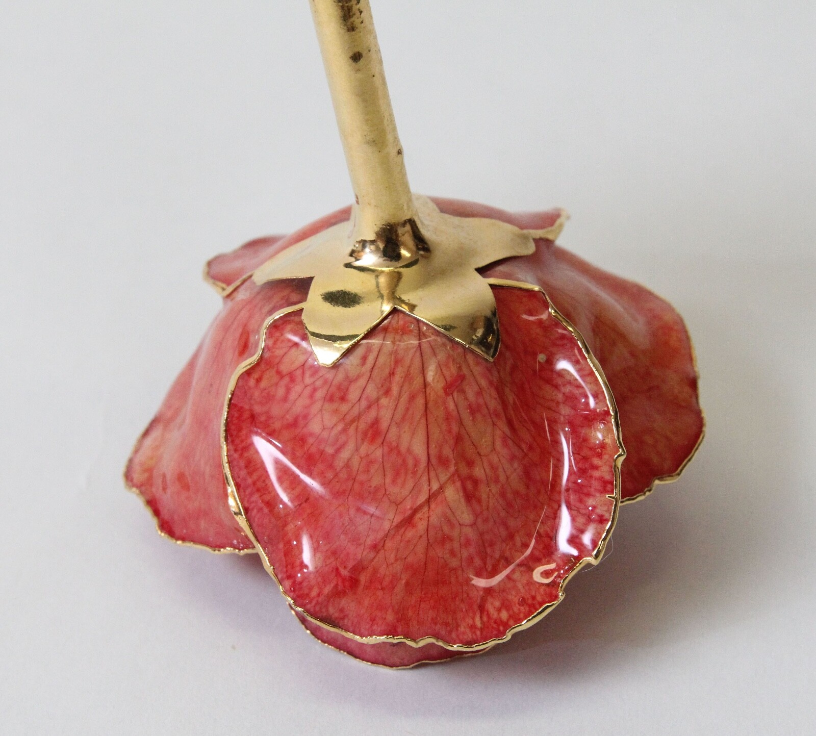 Lacquer Dipped Gold Trim Real Rose Flower 11.5″ Orangish Pink