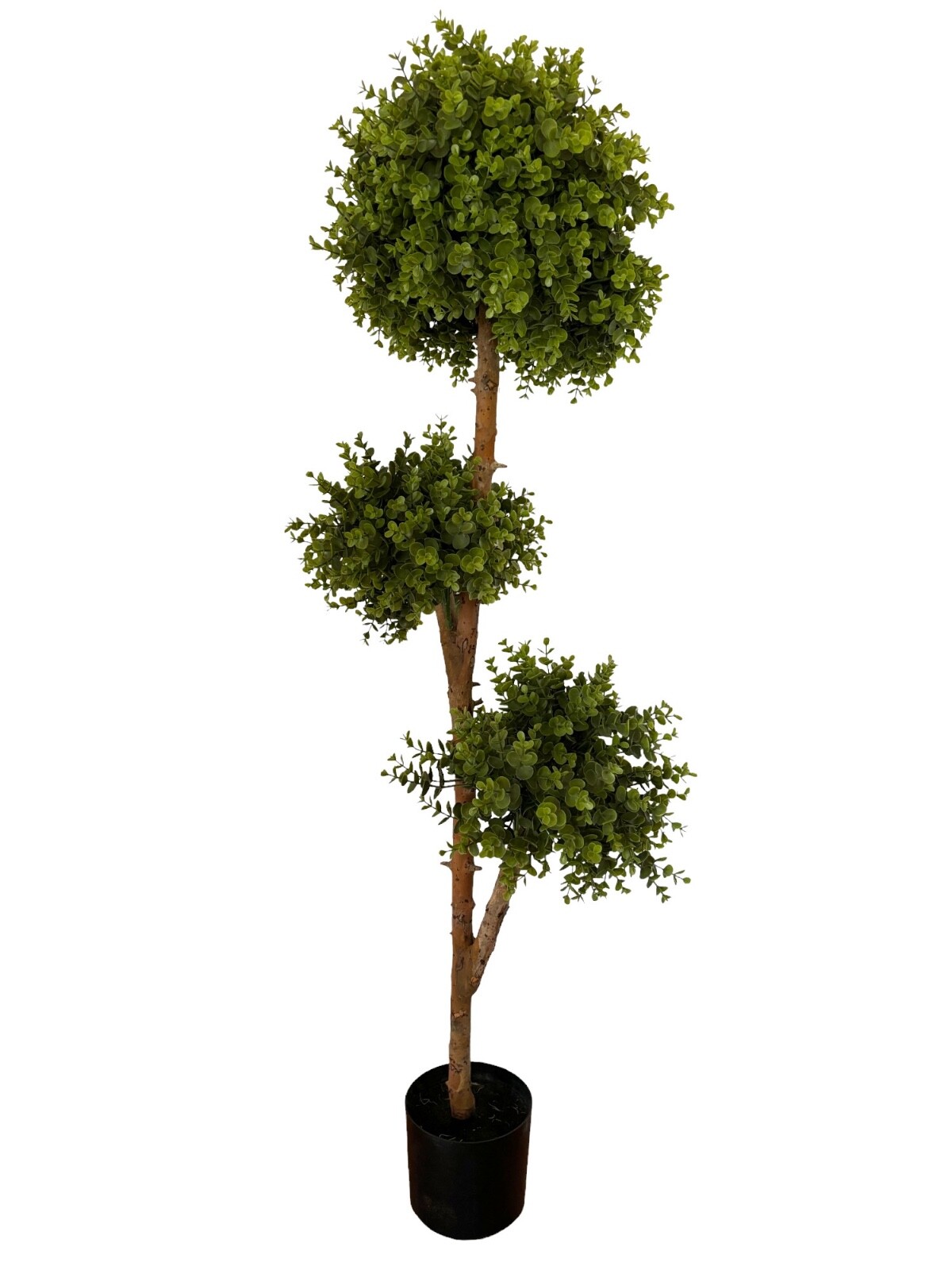 Wildwood & Cypress 57” 3-Ball Topiary Boxwood Tree Wood Trunk Outdoor Use Faux