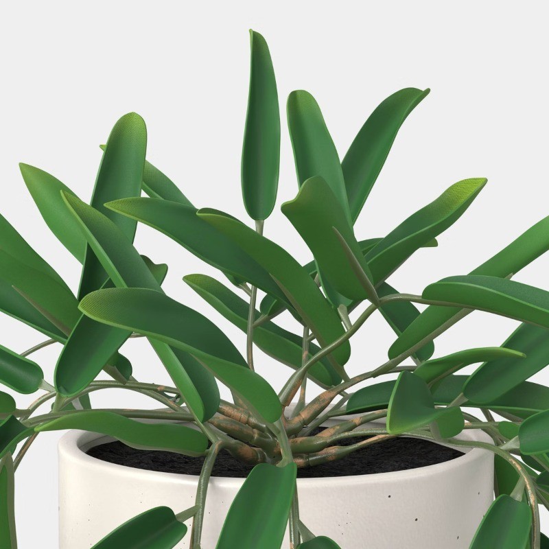 Trailing Leaf Plant Container Material: Stoneware