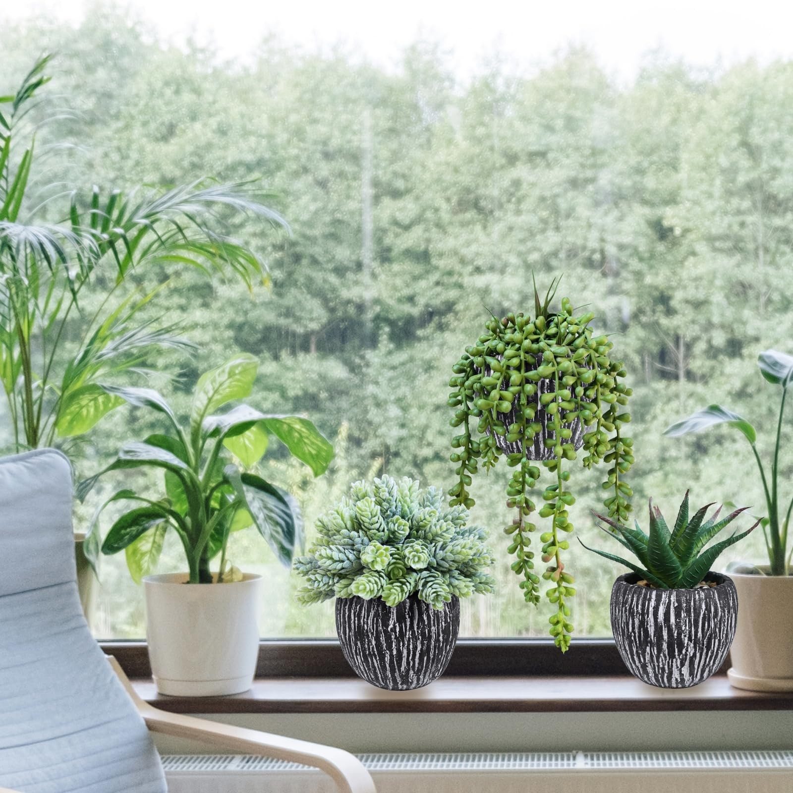 Set of 3 Artificial Succulent Plants in Black Pots Fake Hops Aloe String of P…