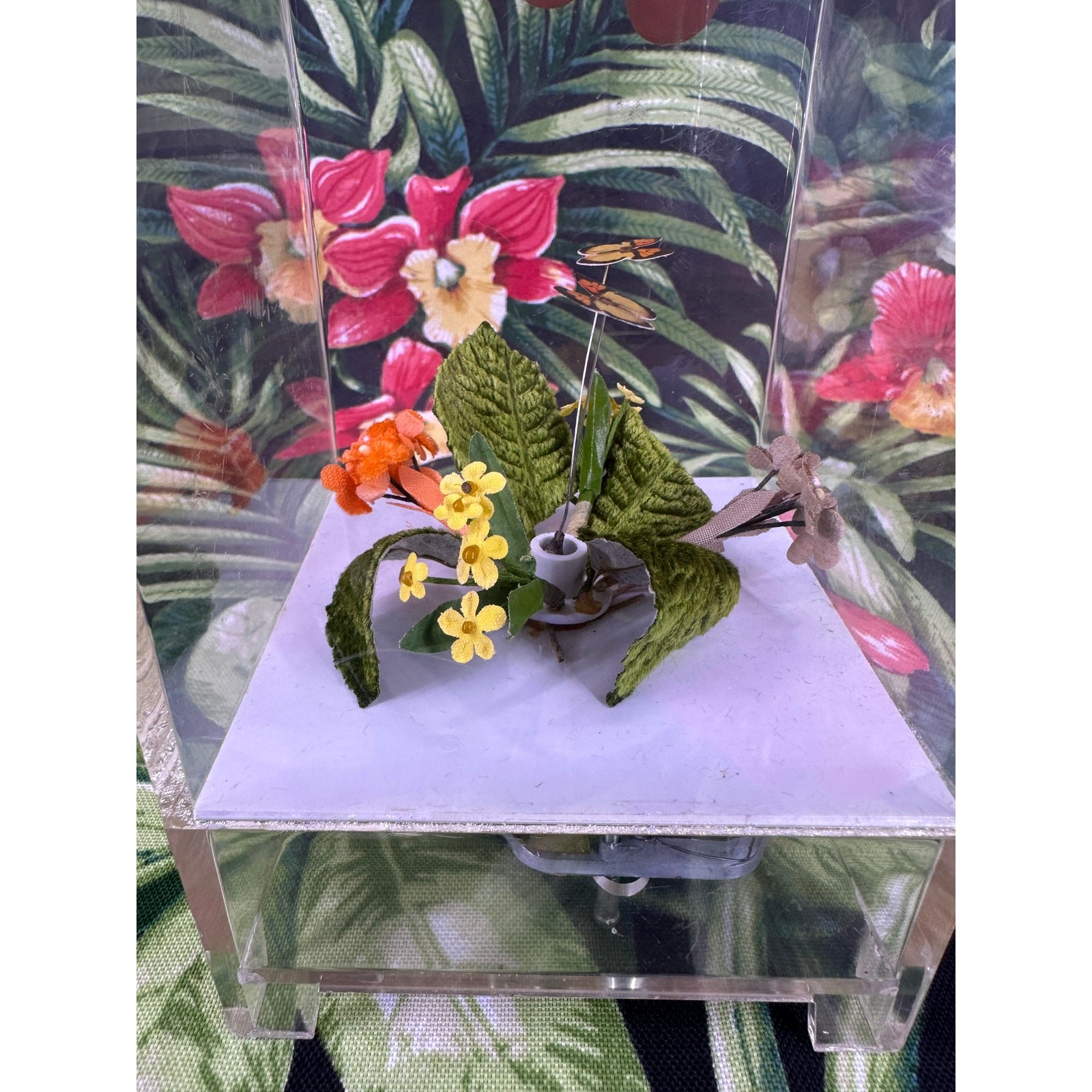 Vintage Unique Monarch Butterfly Clear Working Musical Box