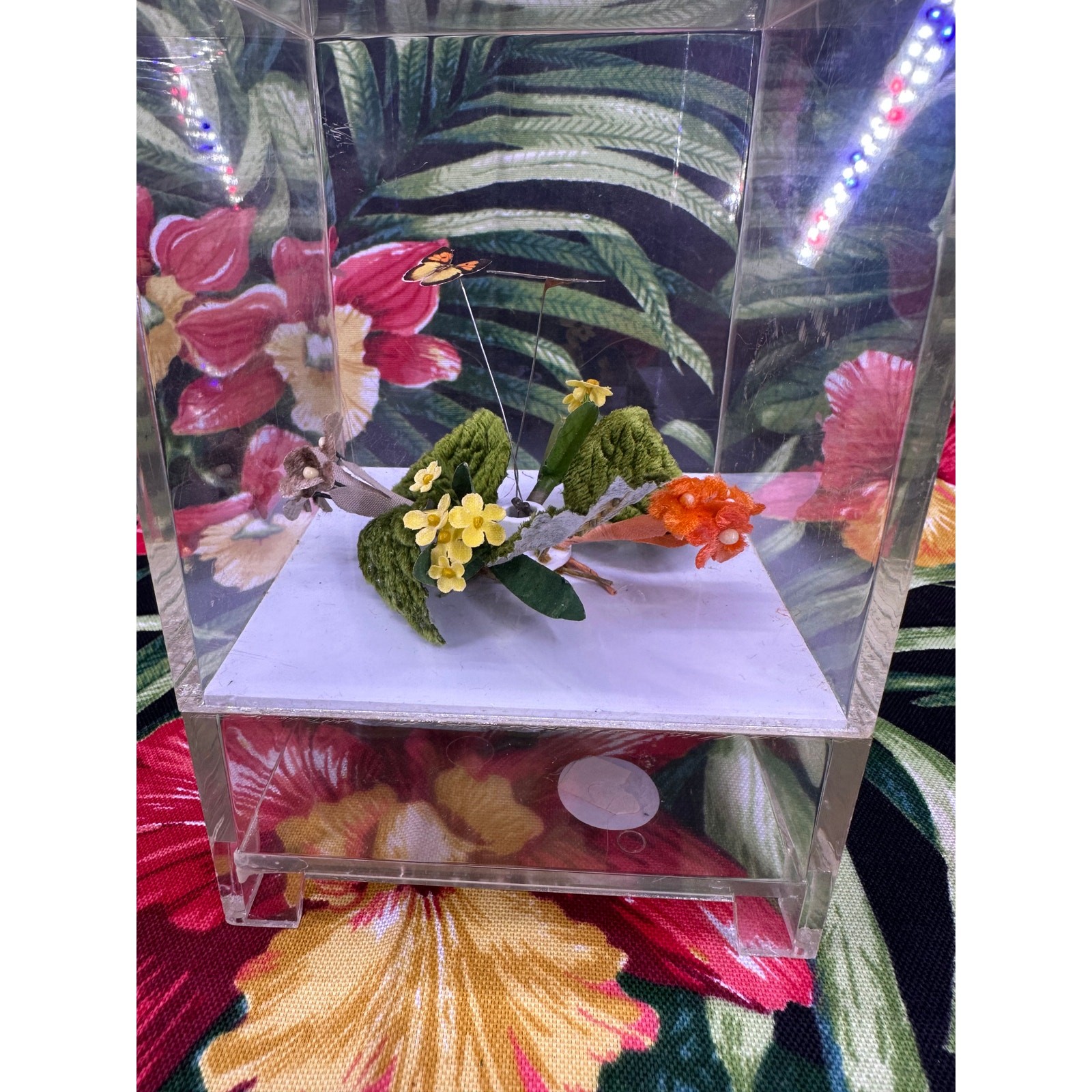 Vintage Unique Monarch Butterfly Clear Working Musical Box