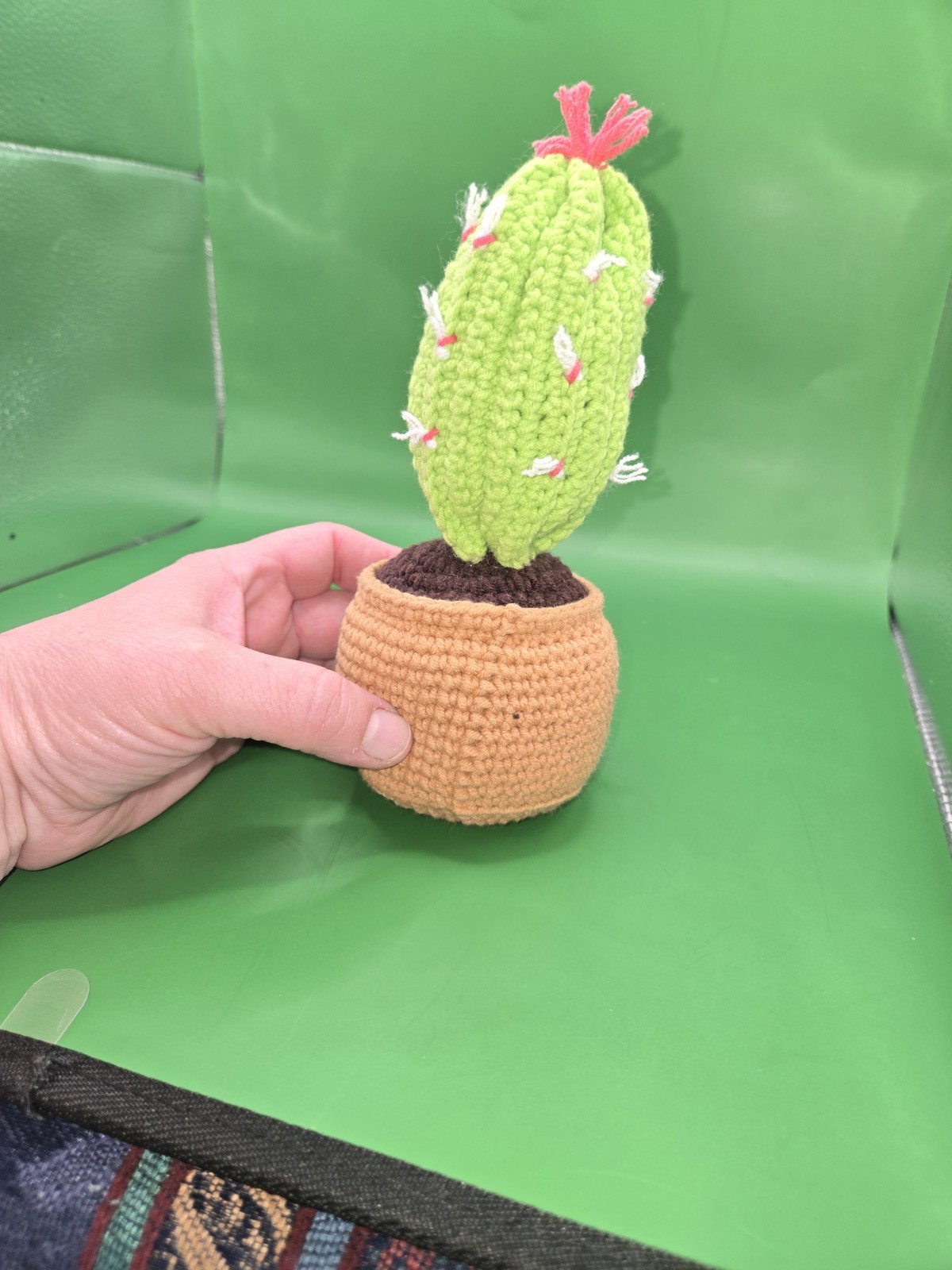 Handmade Crochet Emotional Support Cactus Succulent Plant W/ Positive Message