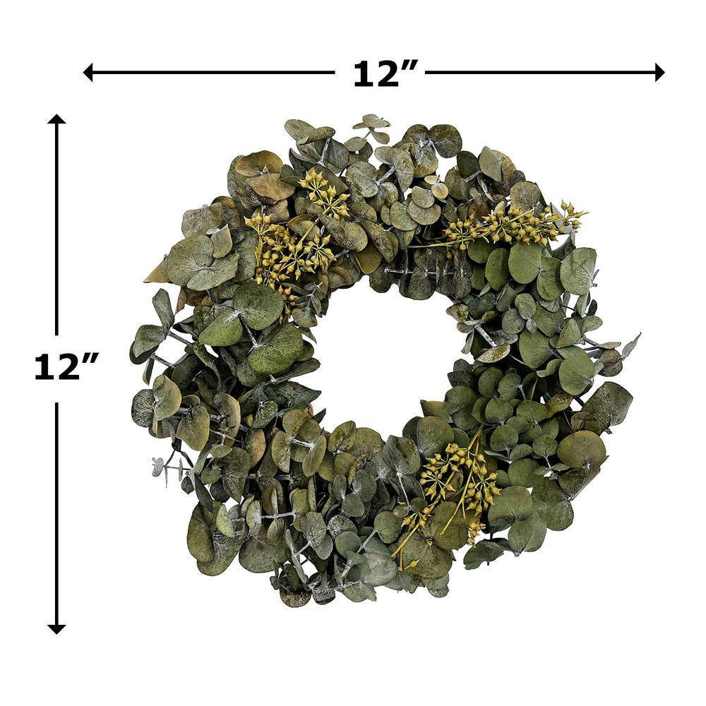 12 In. Non Artificial Preserved Eucalyptus Leaves Wreath