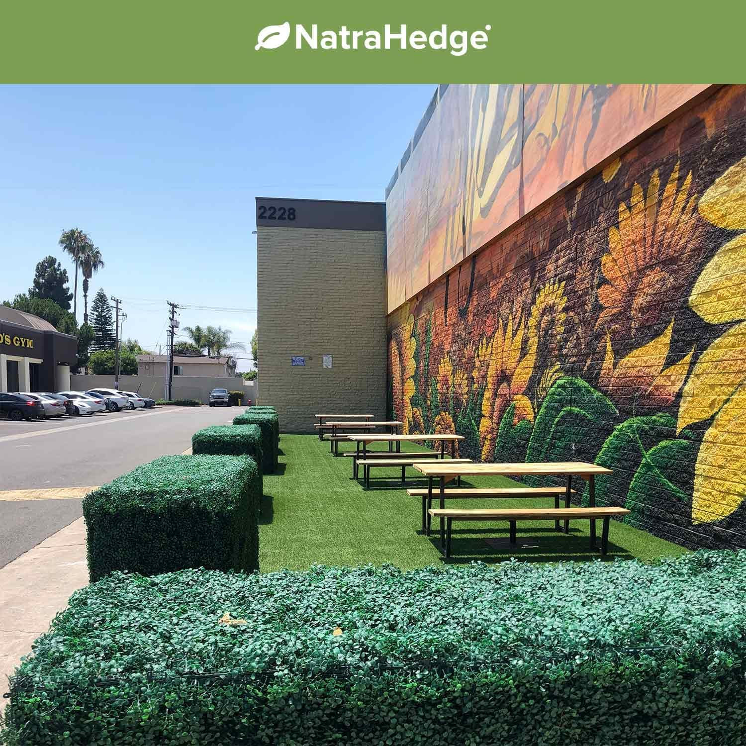 Natrahedge (33Sqft) Artificial Light Green Grass Wall Decor, Hedge Leaf Boxwood