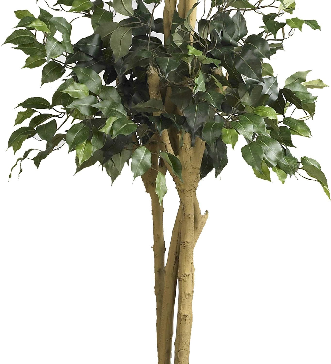 6-Foot Double Ball Ficus Silk Tree – Lush Green Decor