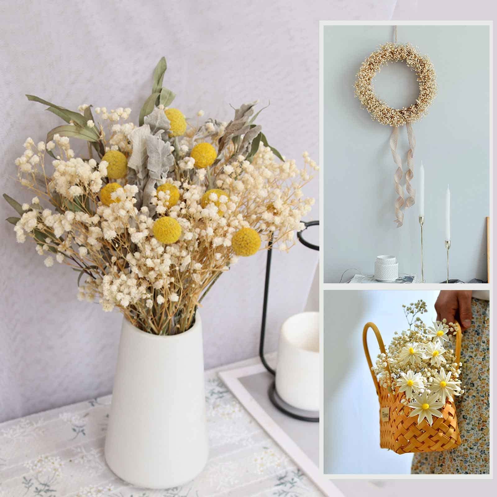 Dried Babys Breath Flowers Bouquet 17 Inch 5000+ Ivory White DIY Decor 6oz