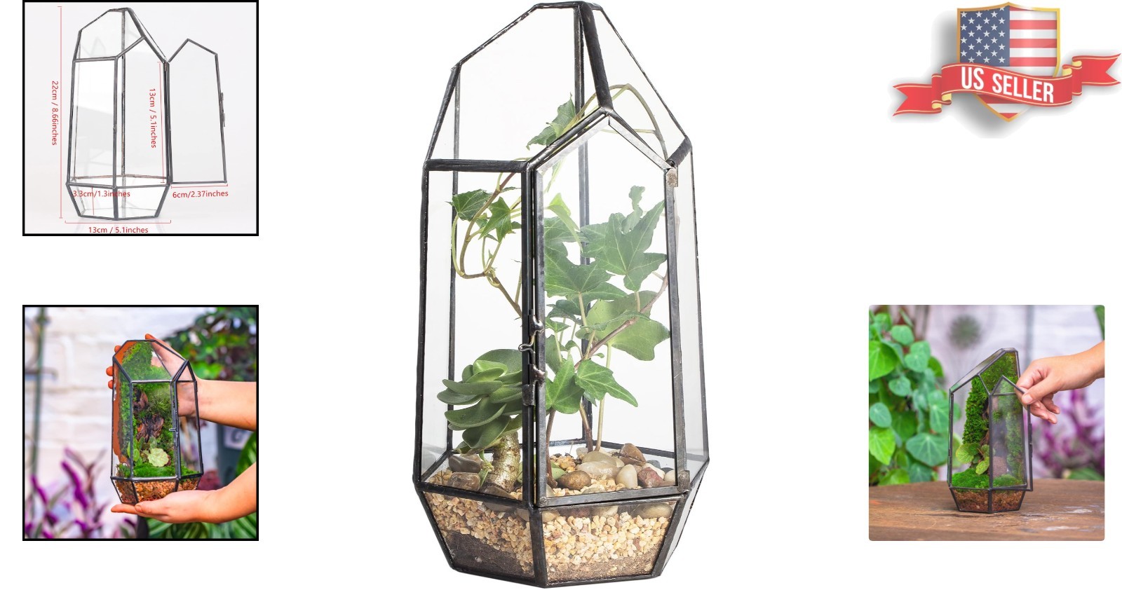 Compact Irregular Glass Terrarium Planter – 5.1” Indoor Decor for Moss & Fern