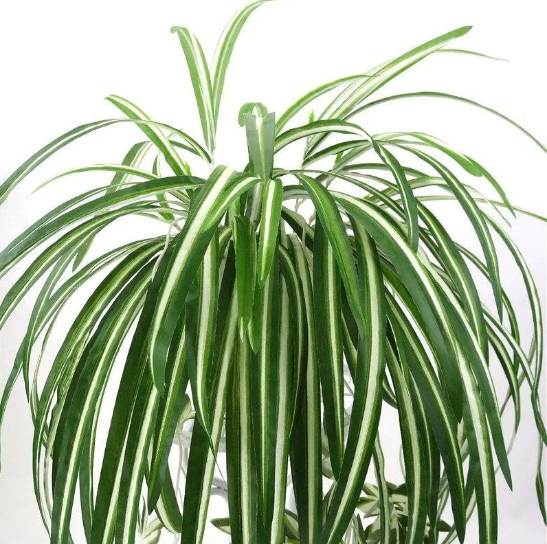 1pc Green Artificial Hanging Chlorophytum Plant Fake Green Wall Decor – NEW