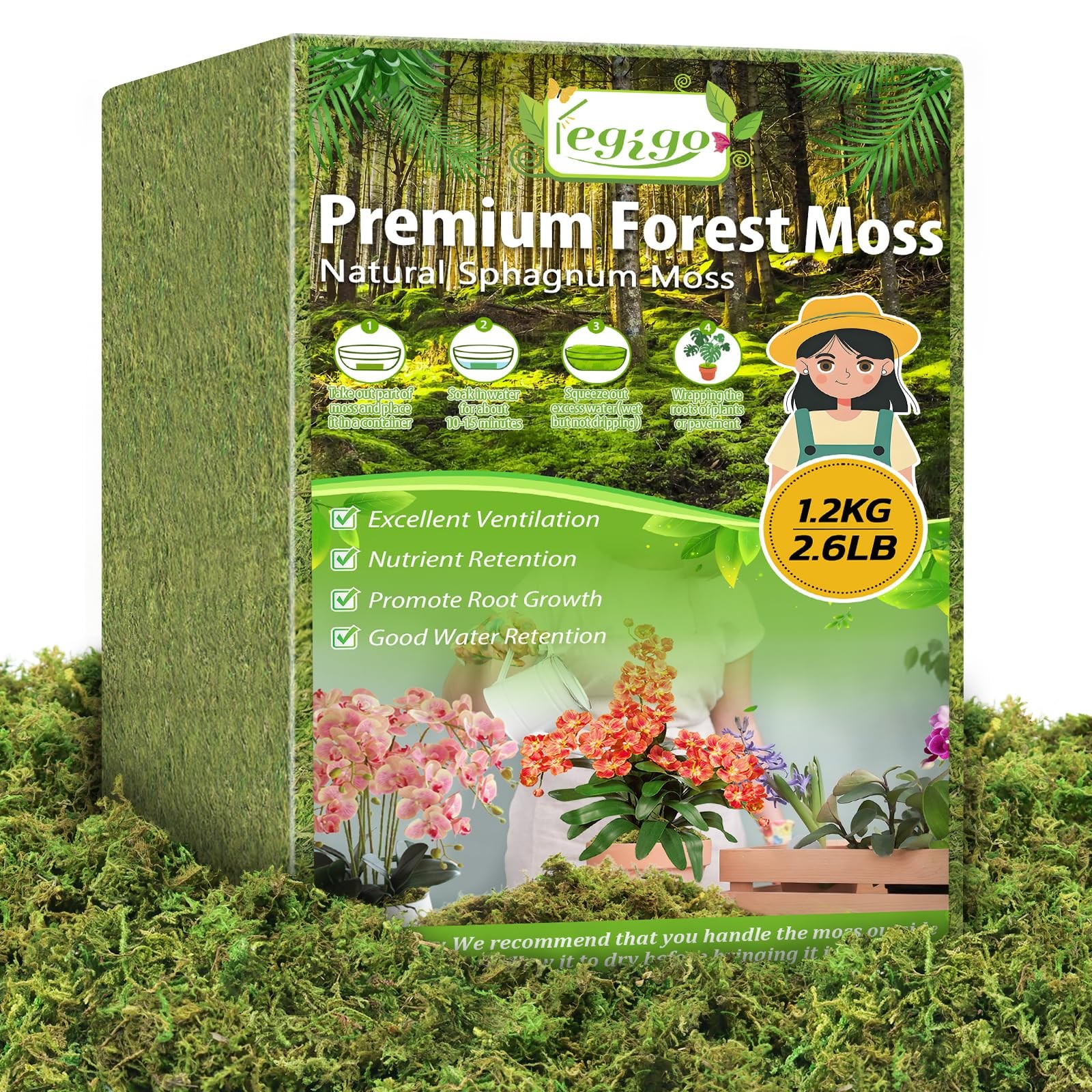 2.6 LBS Green Moss Crafts Real Forest Indoor Table Centerpiece Fairy Garden
