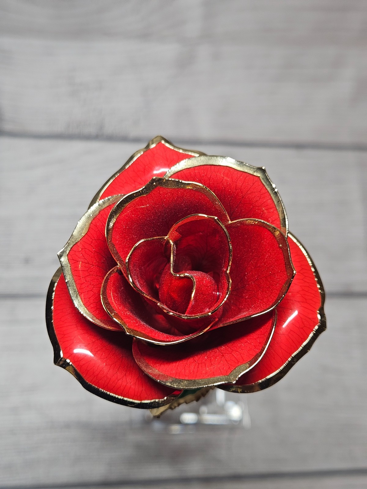 24K Gold Dipped Real Rose with Stand – Forever Gift for Her, Red – 11″ Long
