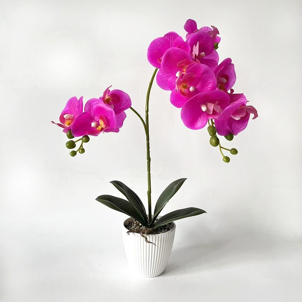 For Home Decor Fake Butterfly Orchid in Stone Pot 16.53in/42cm No Maintenance