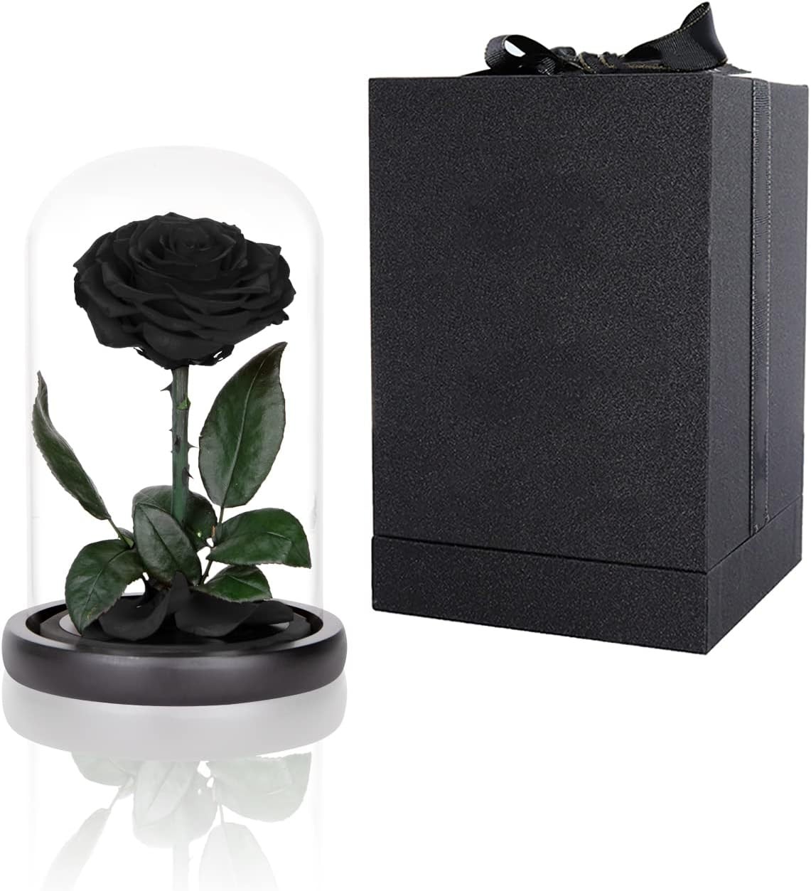 Preserved Roses Black in Glass Dome, Medium, Real Rose