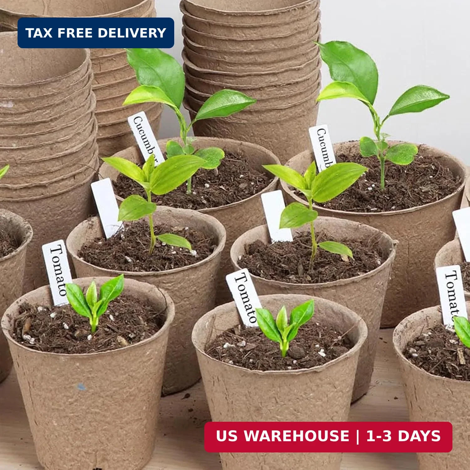 300 Pack Plant Labels, 4 Inch Potted Plant Name Tags Plastic, Seedlings Seed Mar