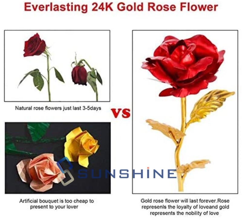 Romantic Eternal Rose Flower In Dome Glass LED Night Light Anniversaries Xmas