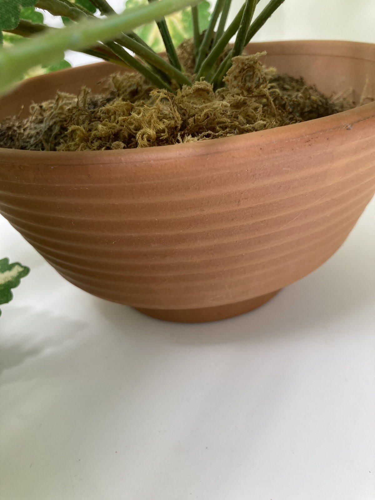 Hanging Silk Plant Natural Looking Coleus (?) Moss Terracotta Pot Tropical 36″