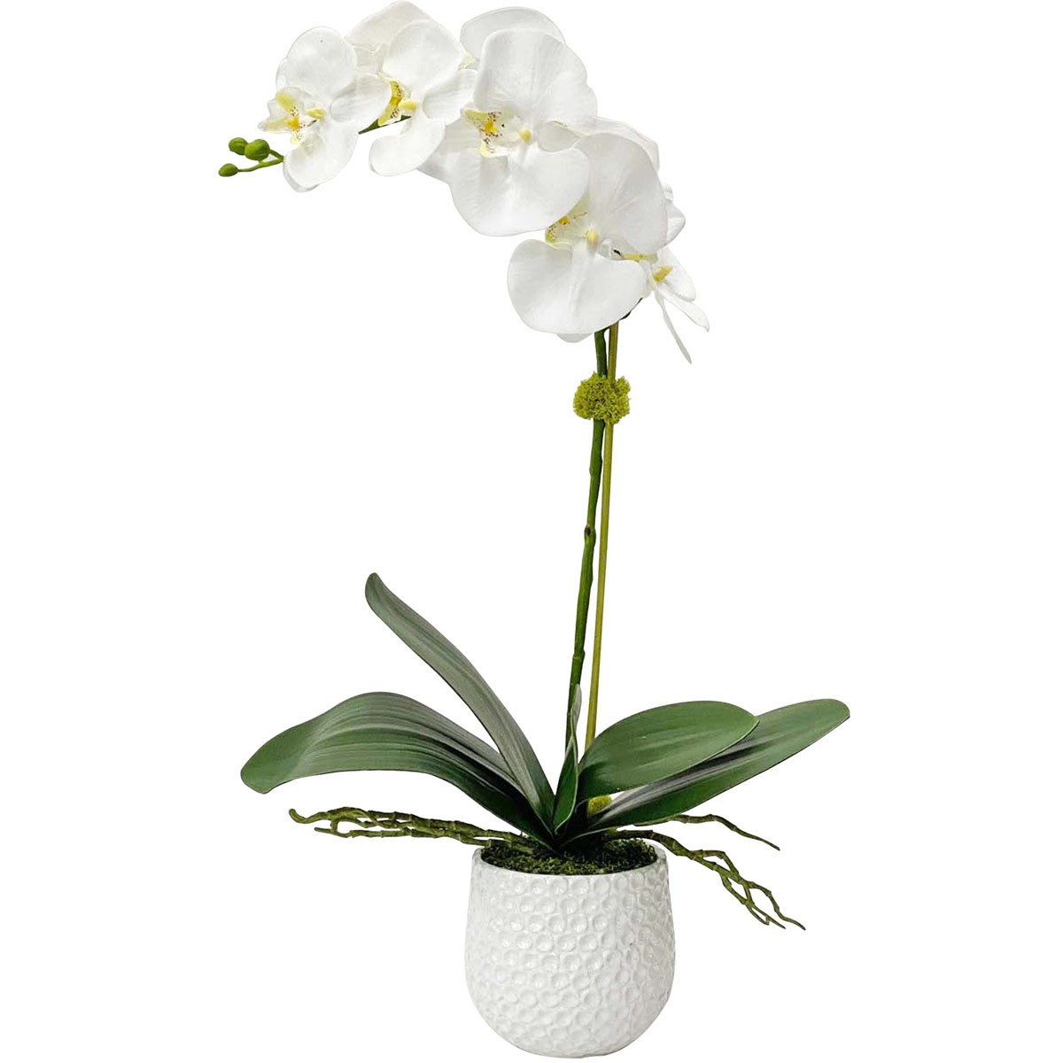 Uttermost 60178 Cami White Ceramic Orchid