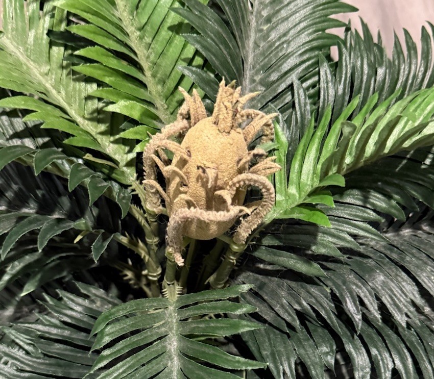 Nearly Natural 25in. Cycas Artificial Plant in Basket In Another Vintage Basket
