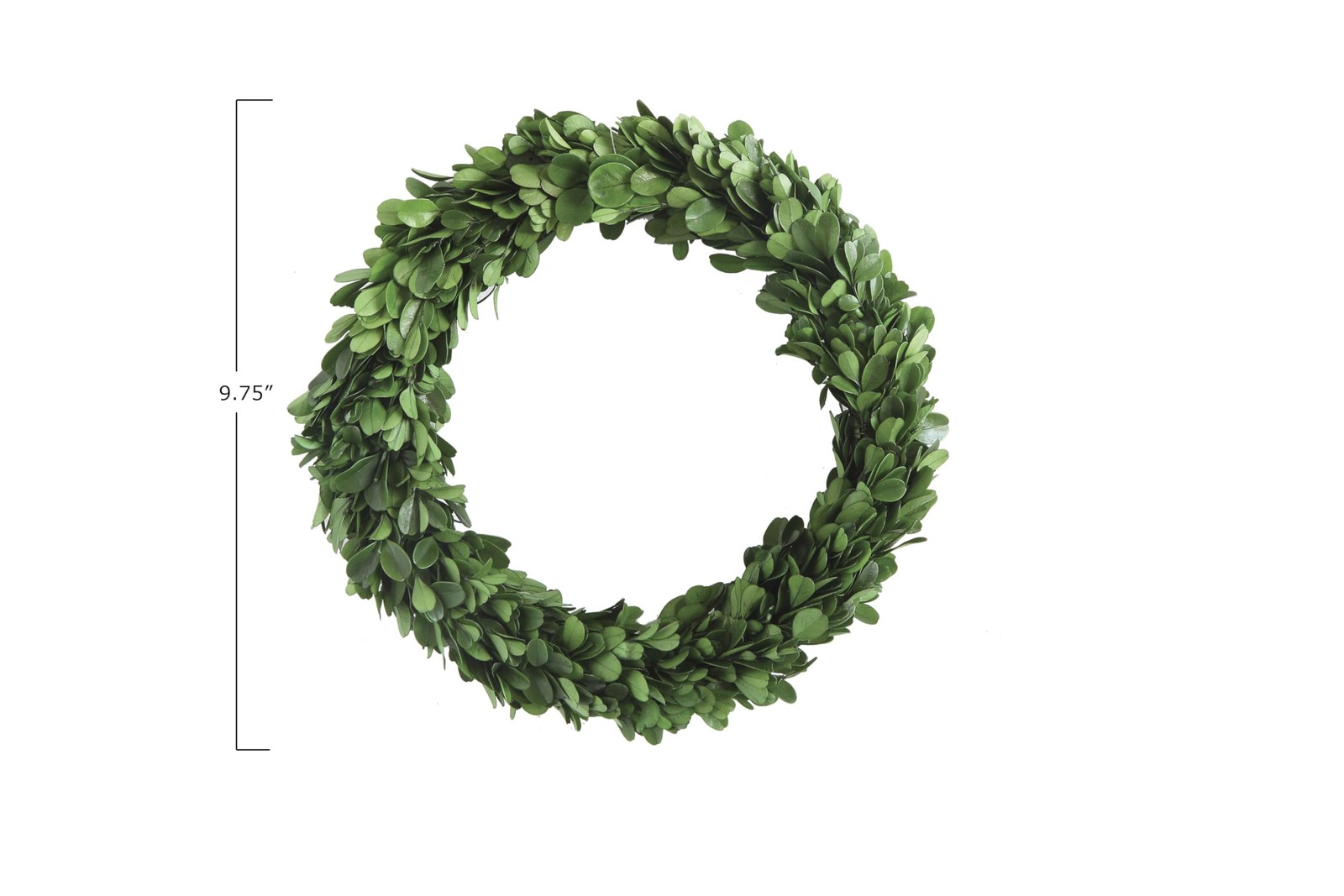 9.75 Inch Preserved Boxwood Evergreen Wreath for Indoor Home Decor Greenery
