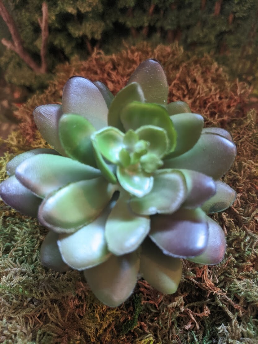 Faux Succulent Plant Pick – Lotus Rosette Dark Green 2.75 inches DA DC-7779
