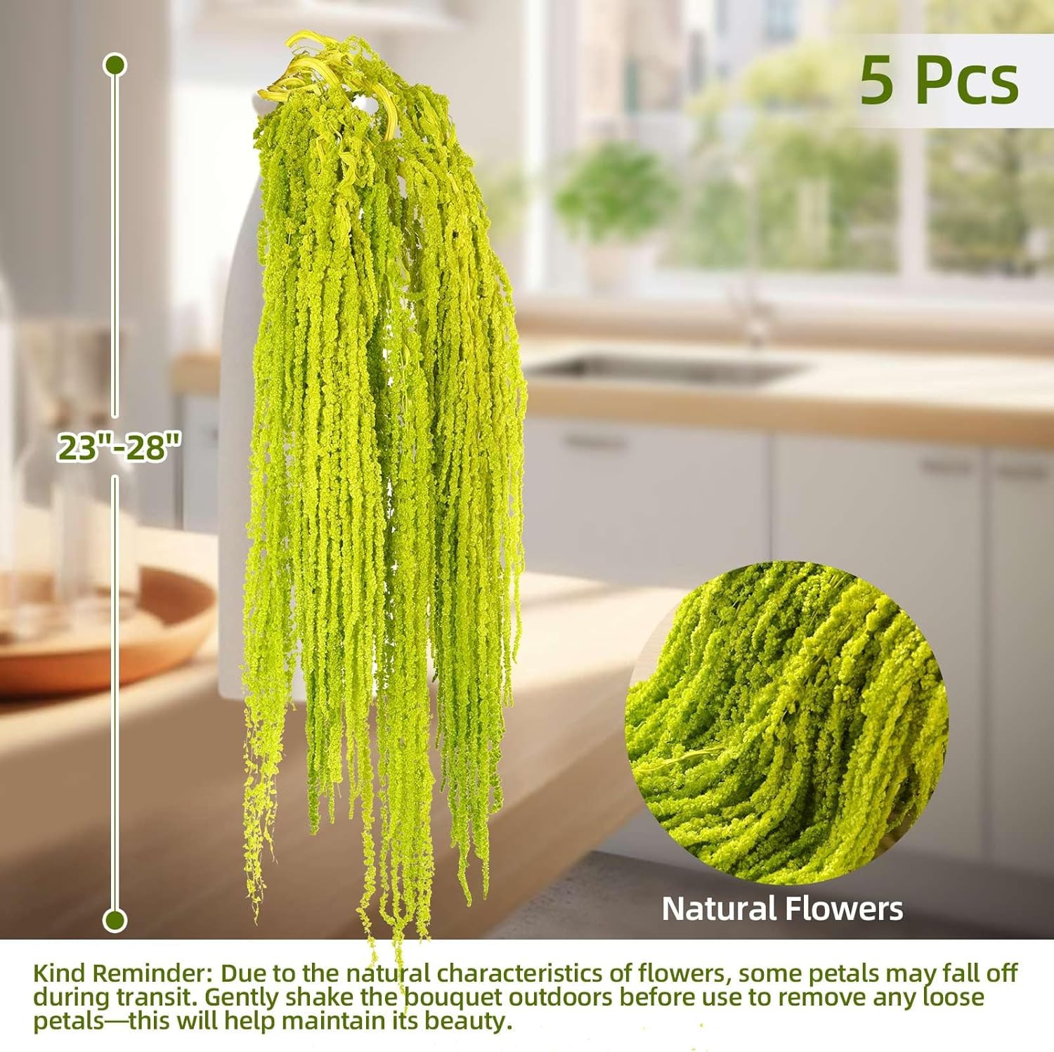 5 PCS Dried Amaranthus Hanging Flowers Natural Preserved Chartreuse 24 Inch