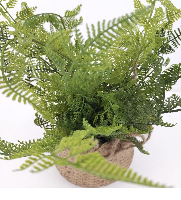 Natural Touch Lace Fern in Faux Woven Basket Valerie Parr Hill 12”
