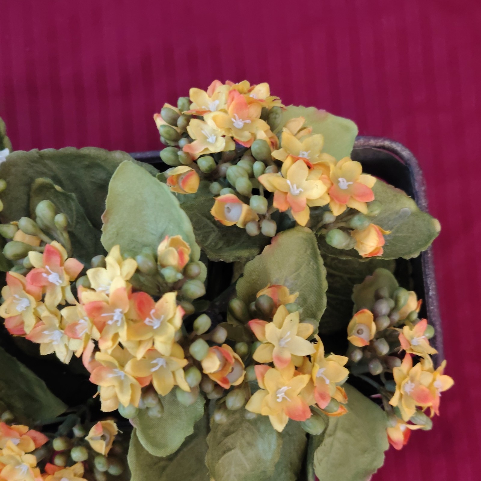 Artificial Kalanchoe Arrangement in Basket Planter Yellow/White