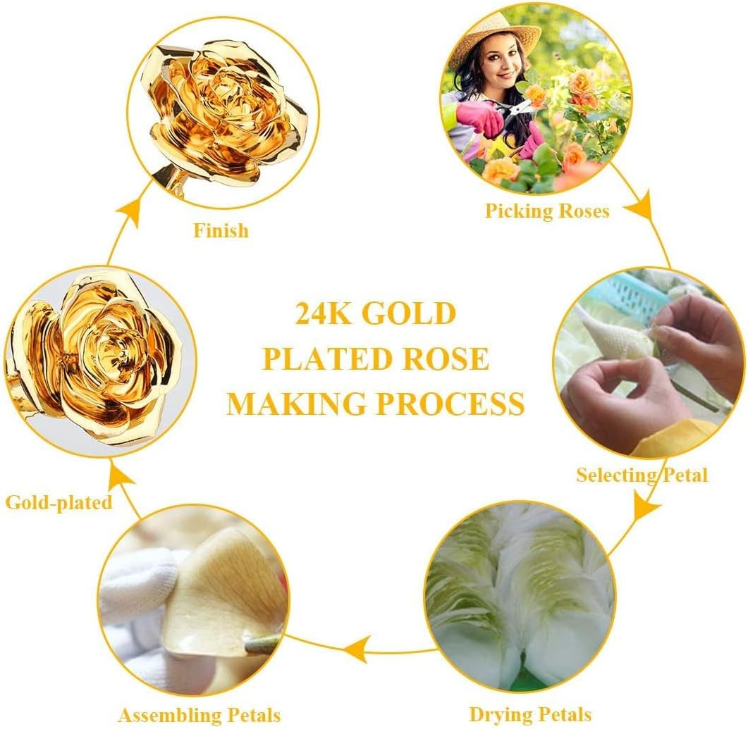 24K Gold Rose for Her, Eternal Love Real Golden Plated Preserved Eternal Rose Fl