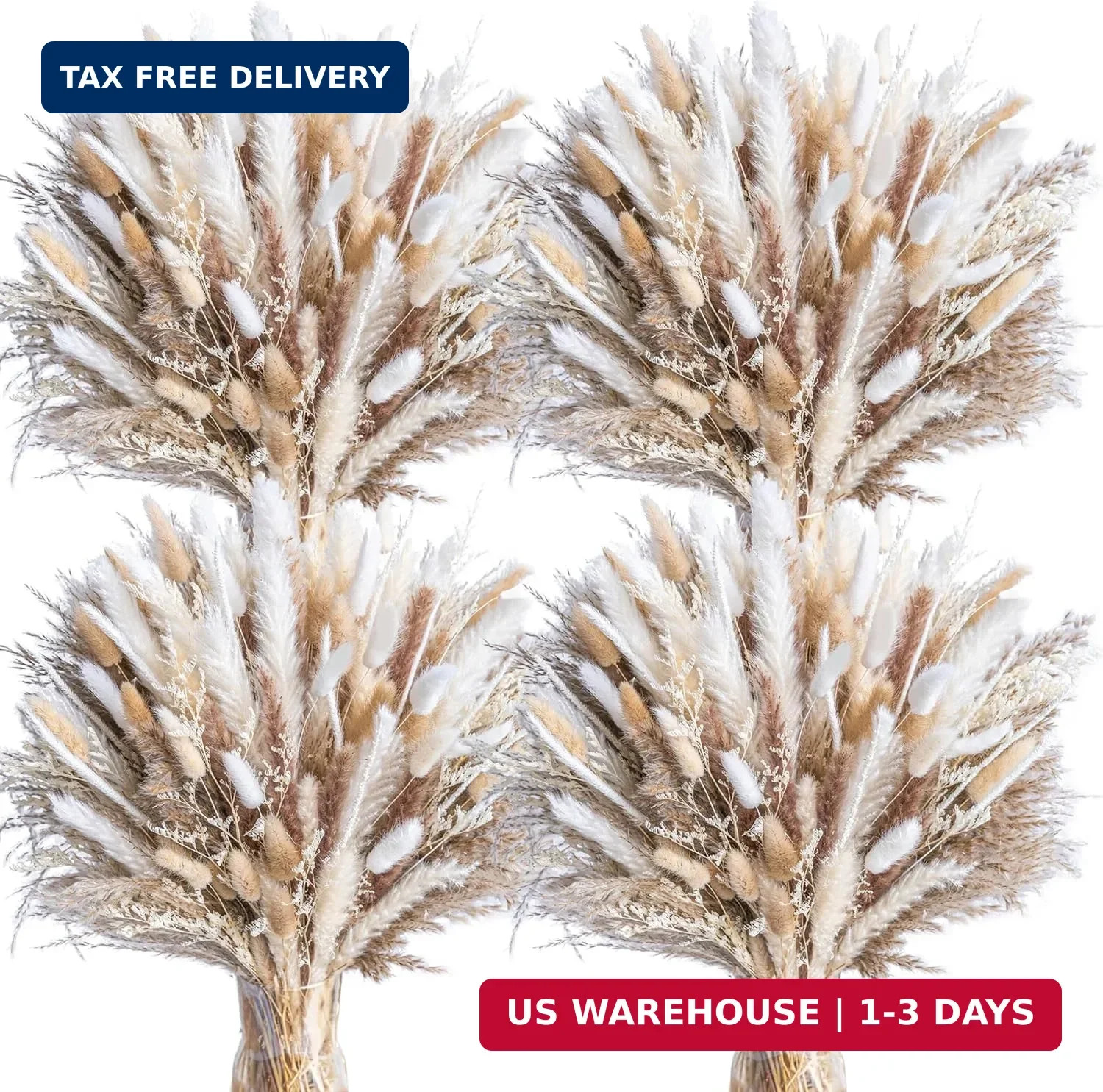 440PCS Natural Dried Pampas Grass Boho Home Decor Bouquet Phragmites Dried Flowe