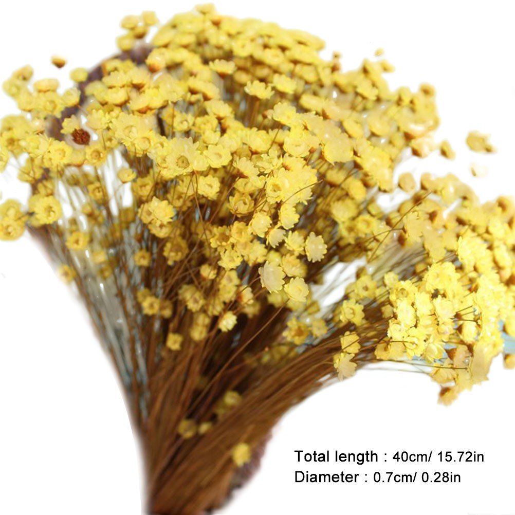 100Pcs Handmade Small Star Flower Dried Flowers Mini Daisy Yellow Floral Display