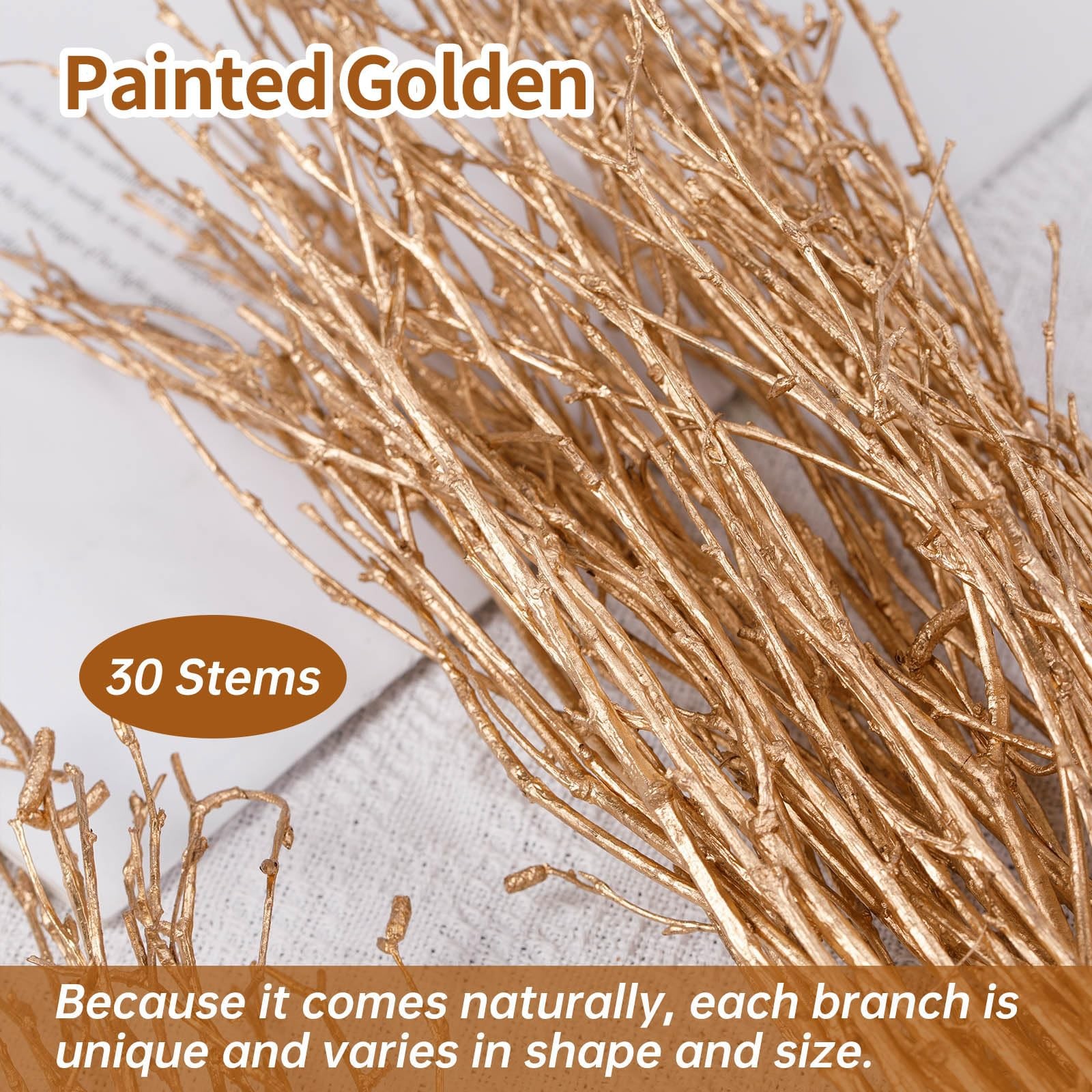 Real Dried Birch Twigs – Painted Golden Decorative Birch Branches for Vase, C…