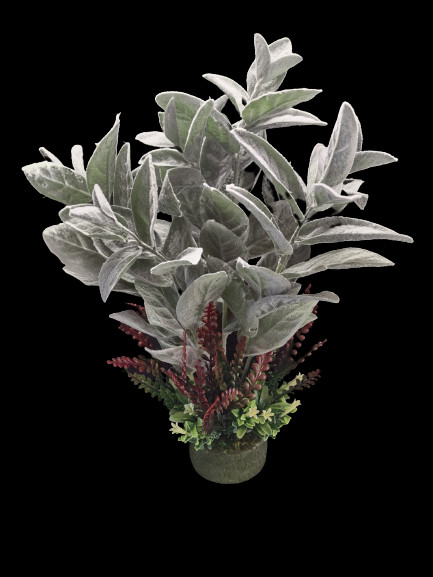 Lamb’s ears plant table decoration.