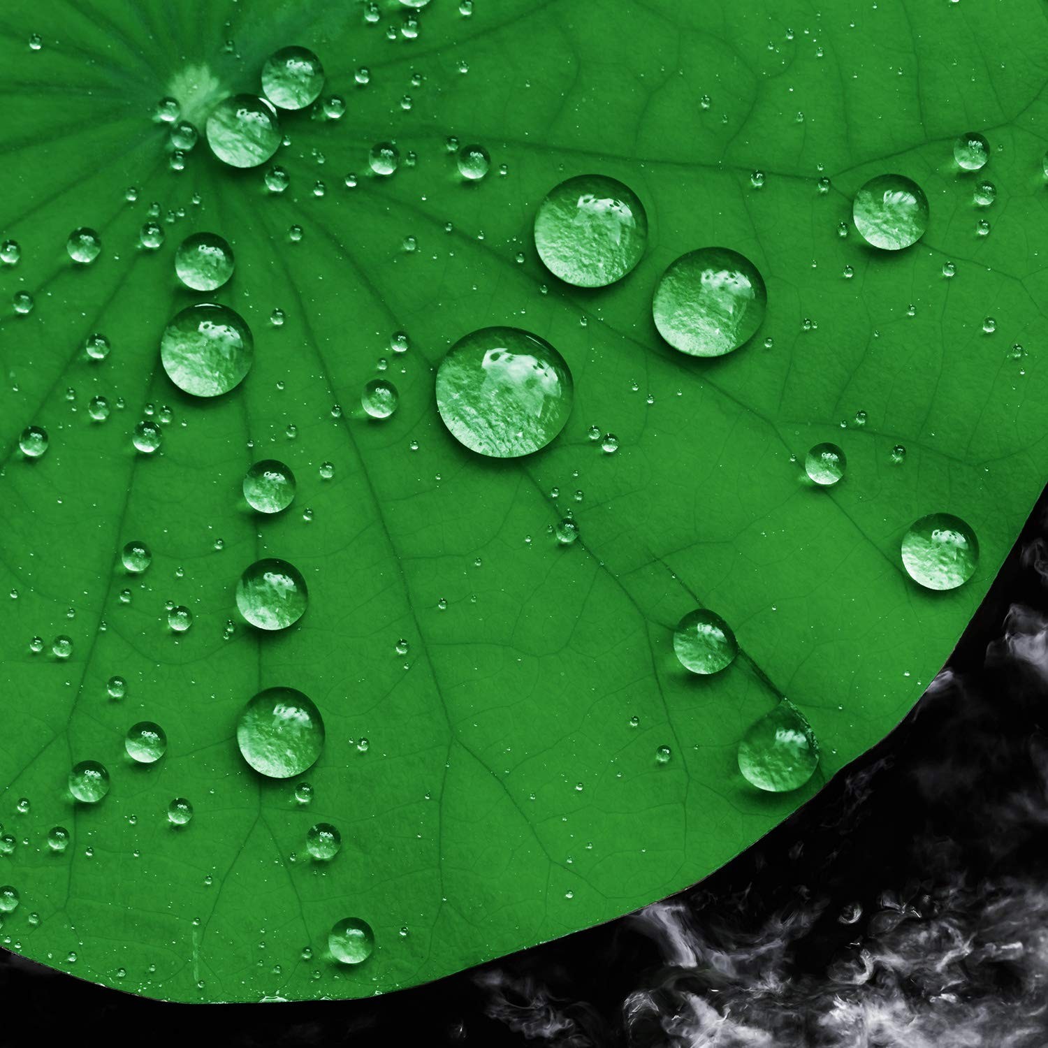 12 Pack Artificial Lily Pads Floating for Pond, 4 Sizes Lily Pad Fake Lotus L…