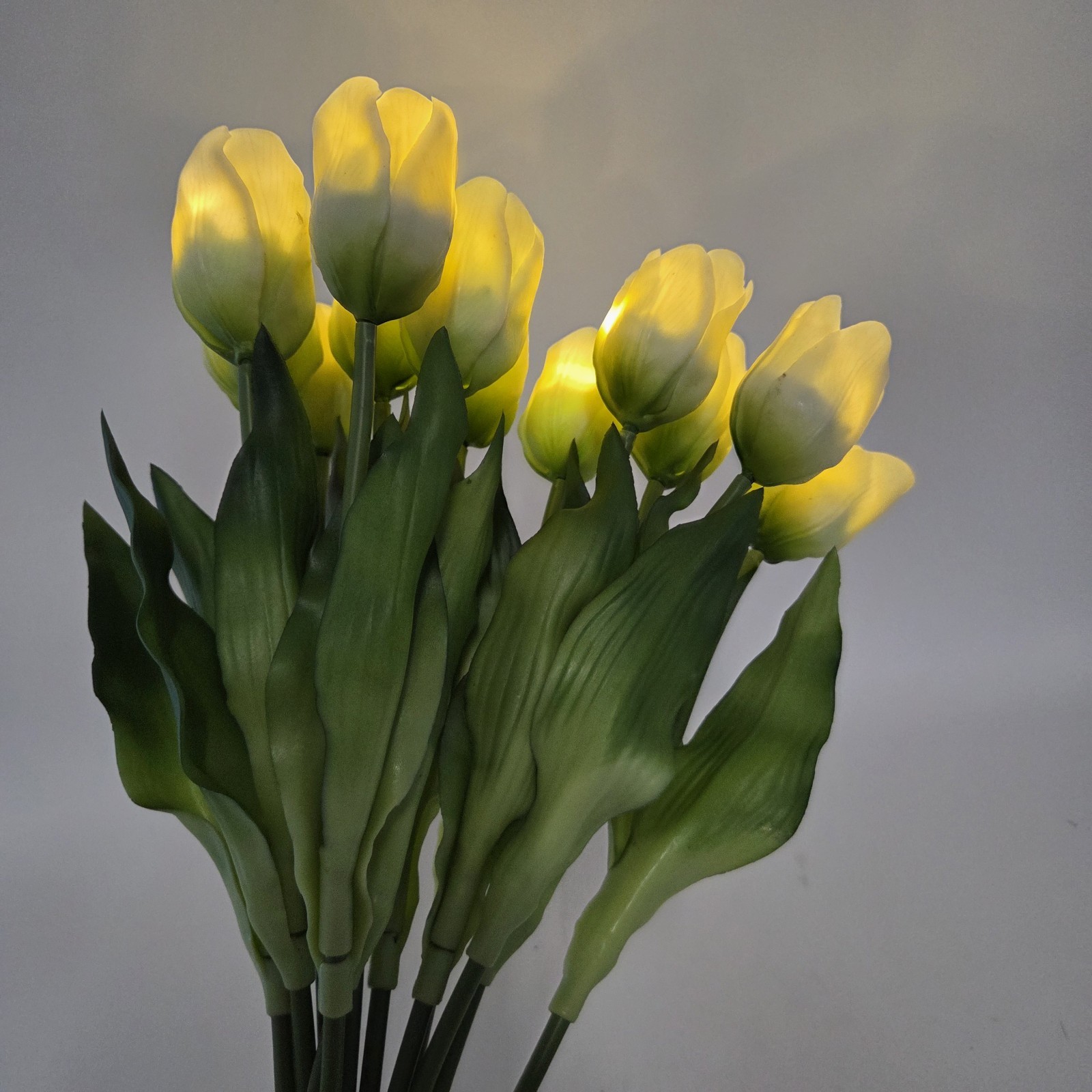 Illuminated Flowers Tulips Bundle Battery Operated Barbara King