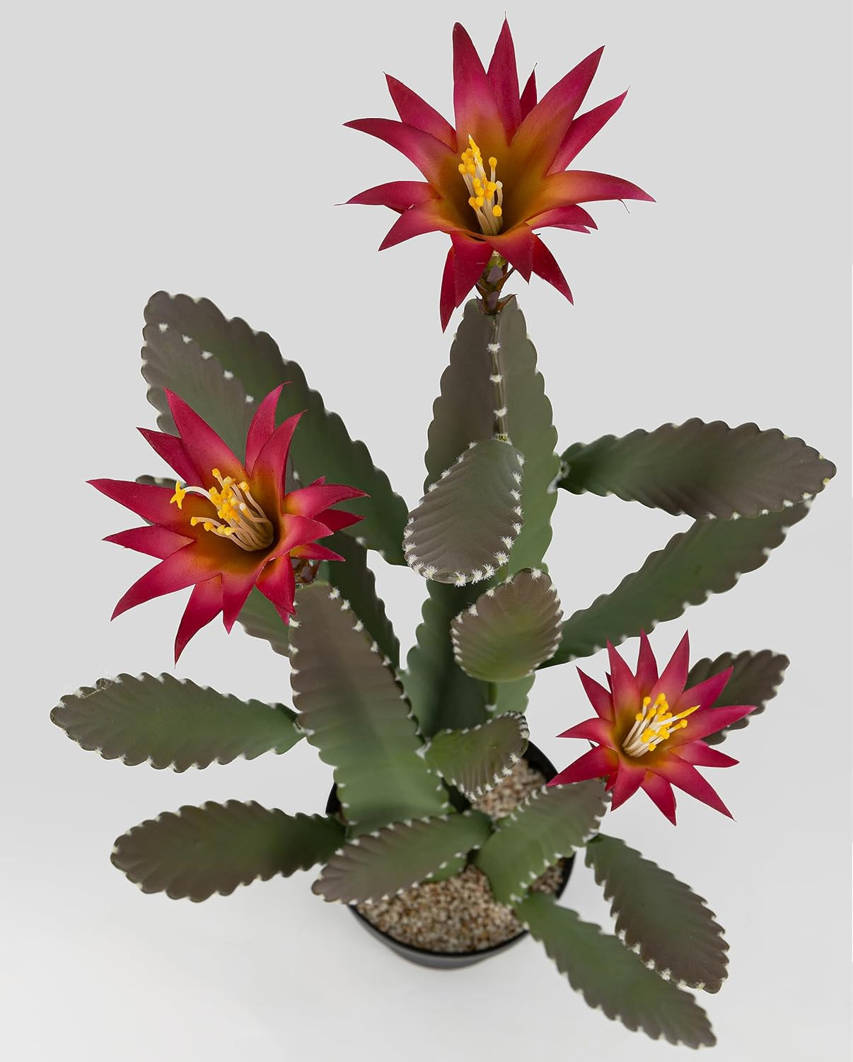 Large 33″ Faux Cactus with Magenta Flowers – Realistic Indoor/Outdoor Decor