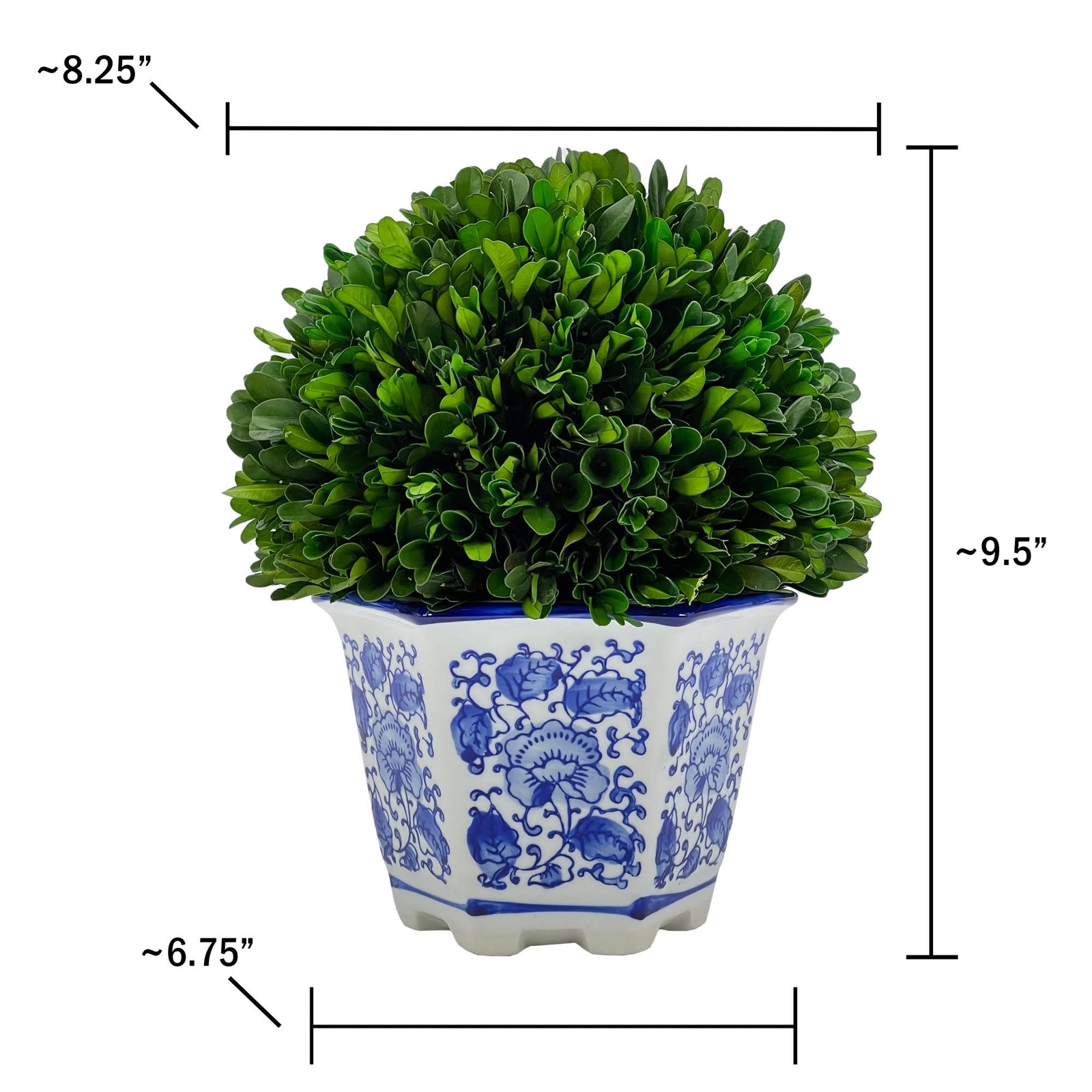 9.5″ Naturally Preserved Real Boxwood Ball in Hand-Painted Blue & White China…