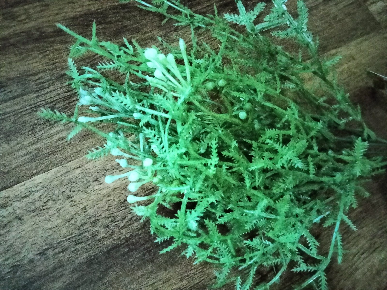 NEW 13 Pcs Artificial Plastic Plants: 7 Boston Fern Grass & 6 Ferns w/ Berries