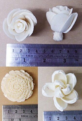 20 Balsa Artificial Sola Wood Flower with 5in. Rattan Reeds, Mix of Flowers