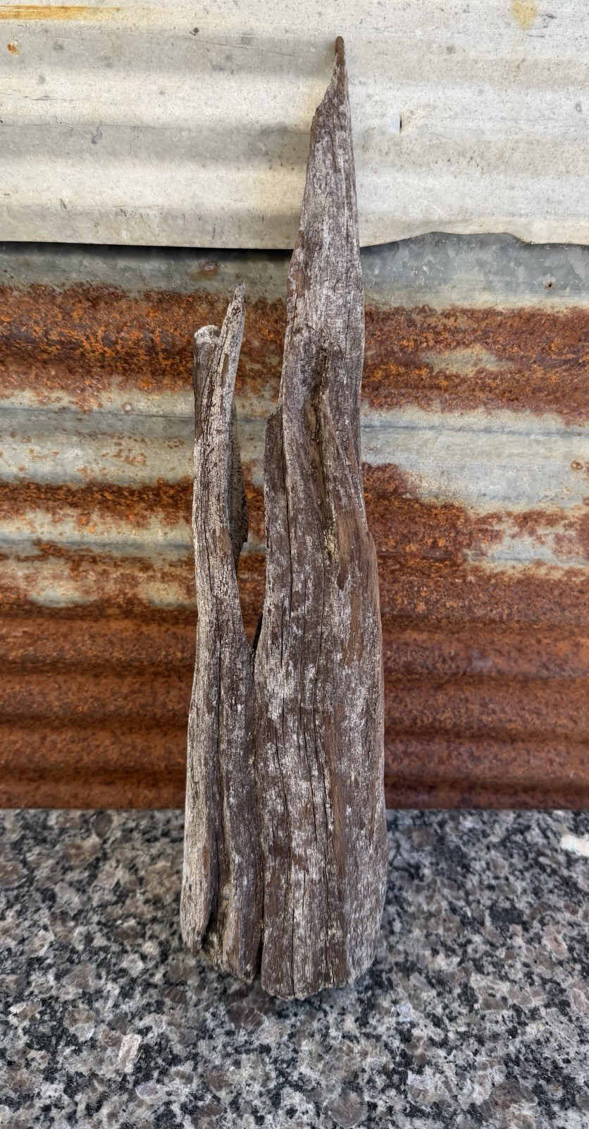 Natural DRIFTWOOD 15” Piece Terrarium Taxidermy Aquarium Art Reptile Decor