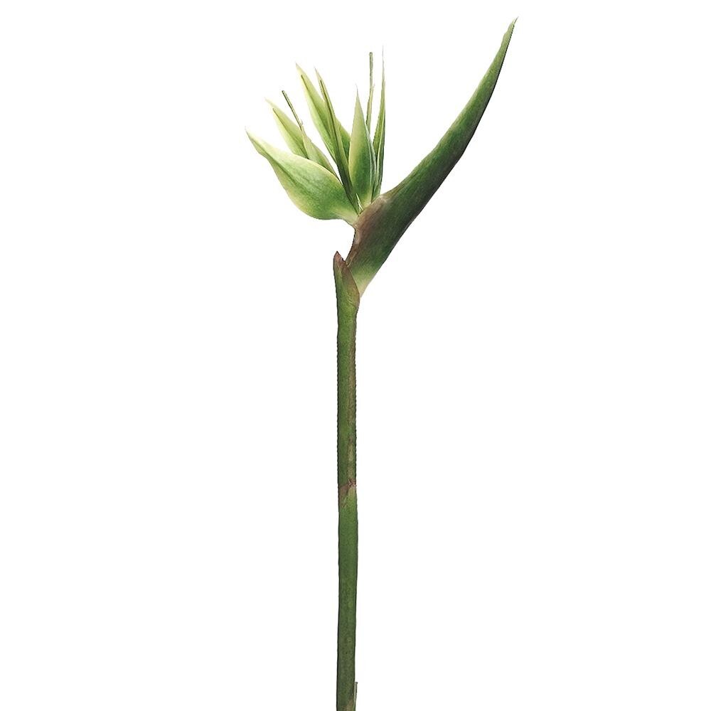 31″ bird of paradise tropical stem. Silk flower floral arrangements GREEN