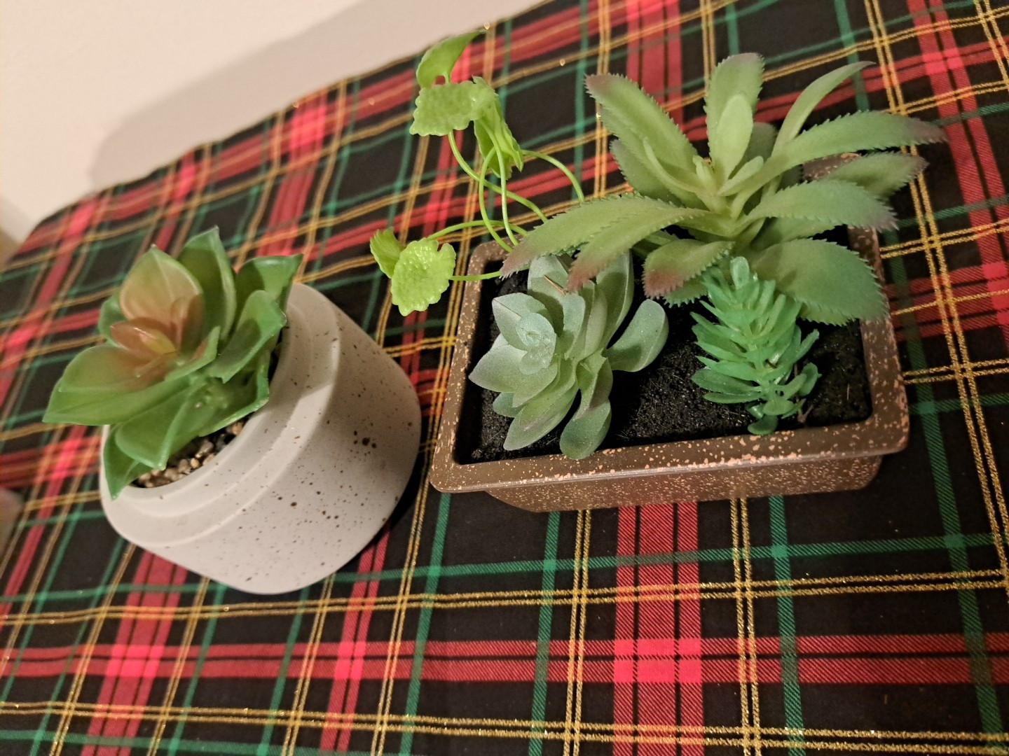 Mini Artificial Succulent Plants Set Of 2 In Pots Minimalist Modern Home Decor