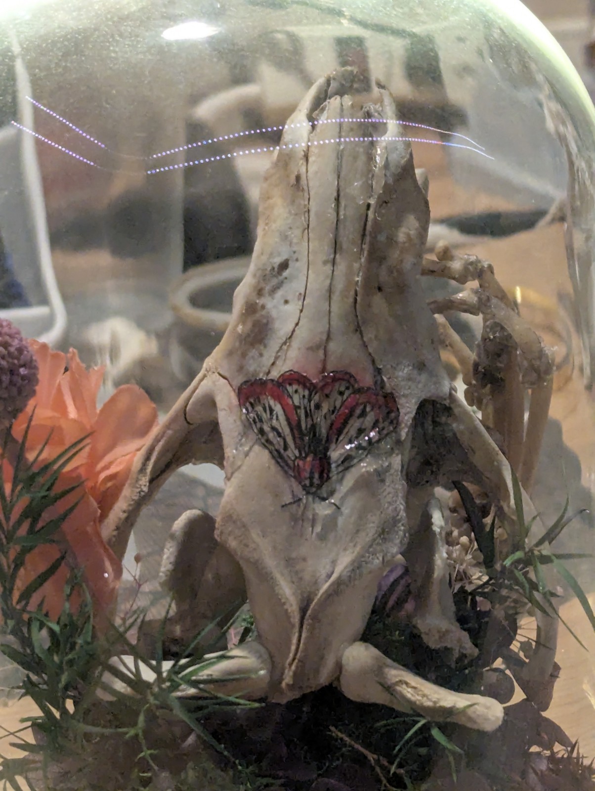 Decorative Glass Dome with Animal Skull and Floral Arrangement