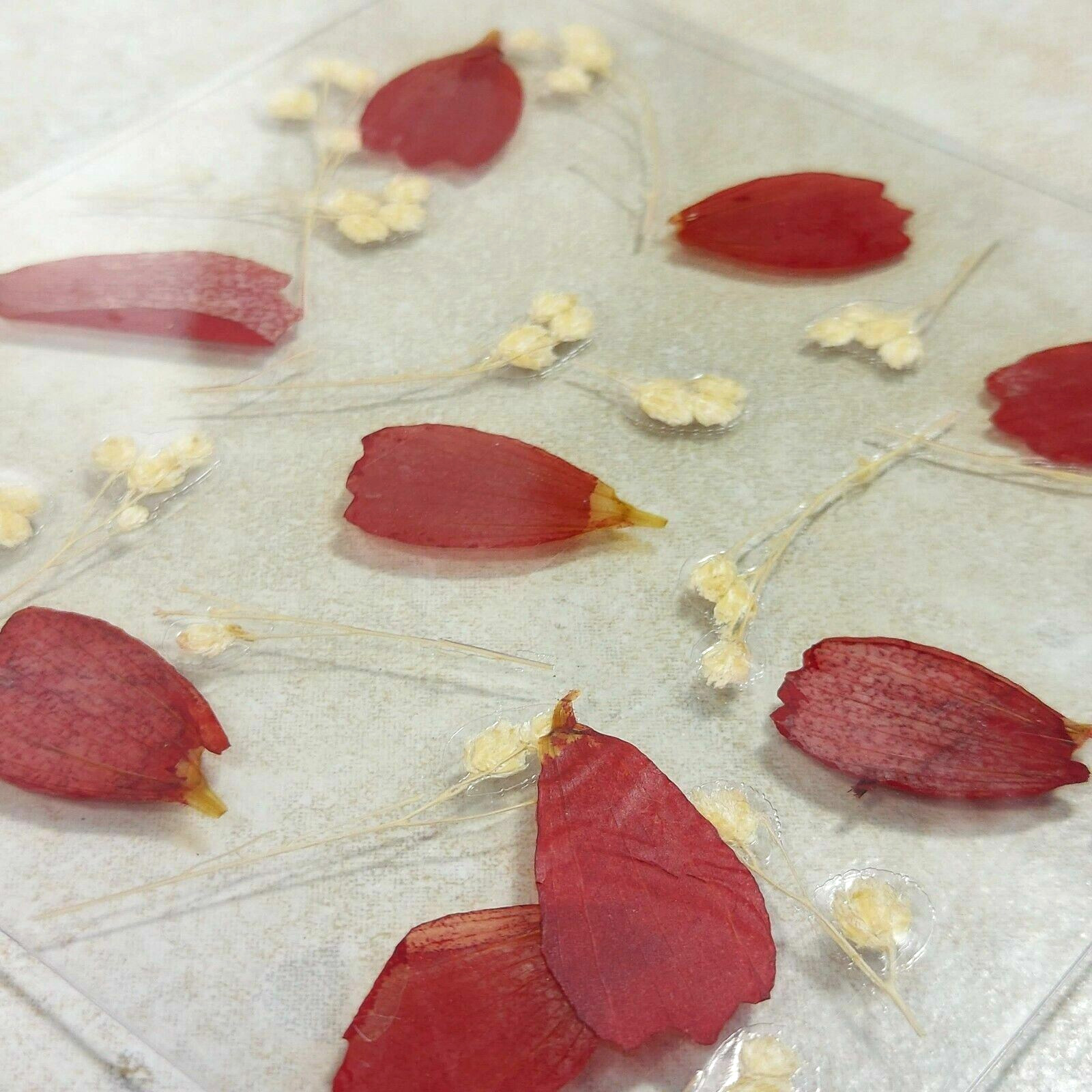 Dried Pressed Flowers Natural Flower Petal Set Resin Art Design Home Décor Gift