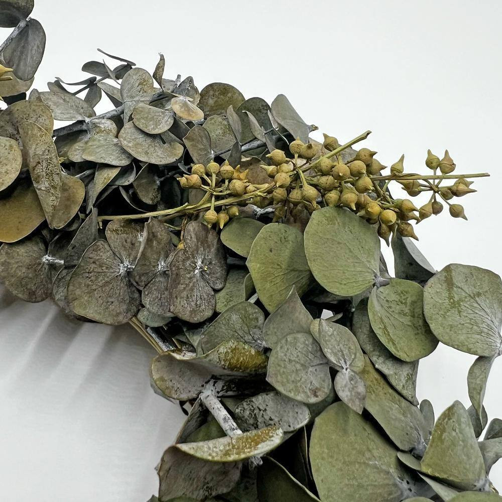 12 In. Non Artificial Preserved Eucalyptus Leaves Wreath