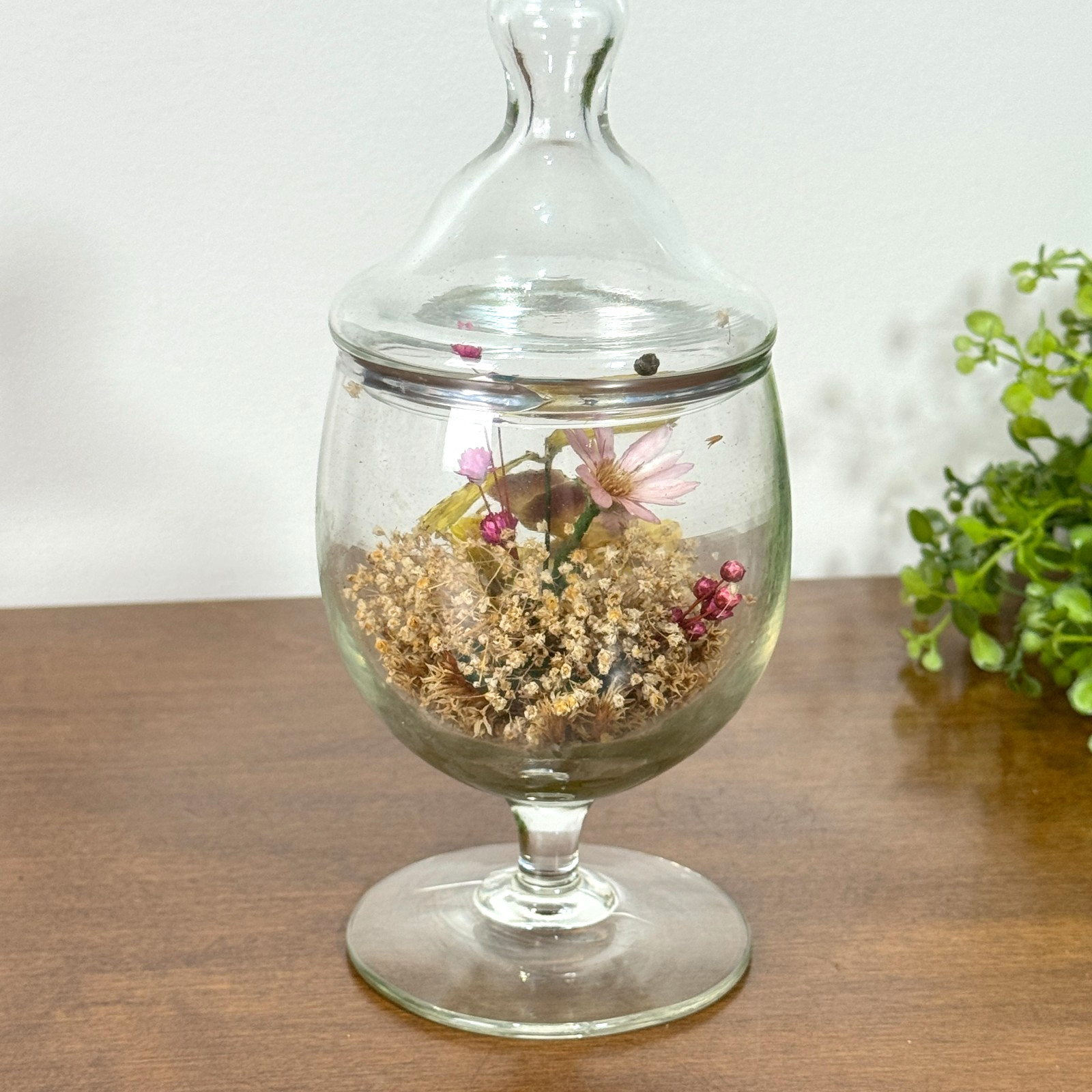 Vintage Glass Cloche Dome Dried Flowers Butterfly Terrarium Apothecary Decor