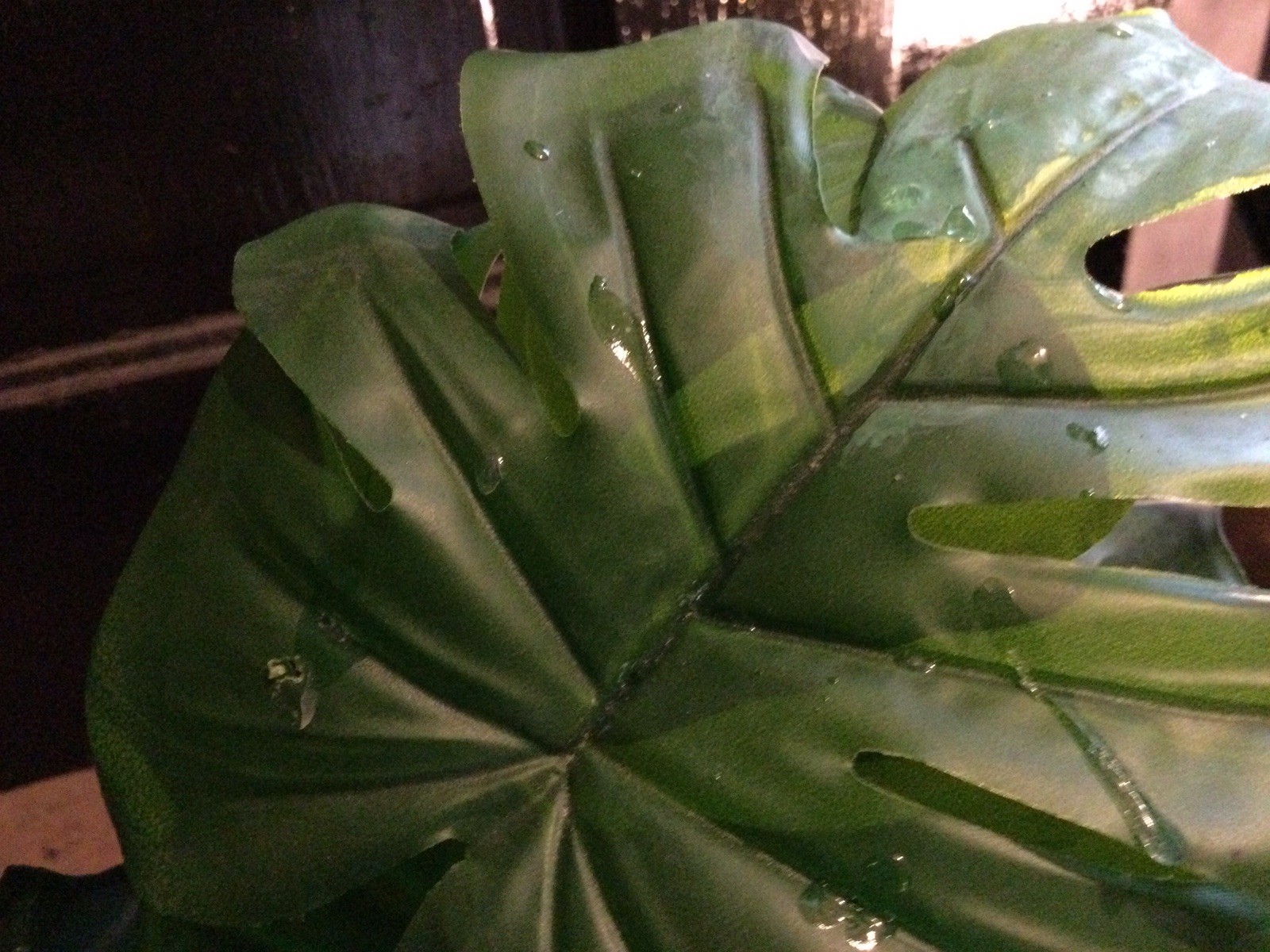 2 Small Artificial Fake Faux Plants➕Pots➕Stones 🌱Monstera➕Apple Leaf 📏16” Tall