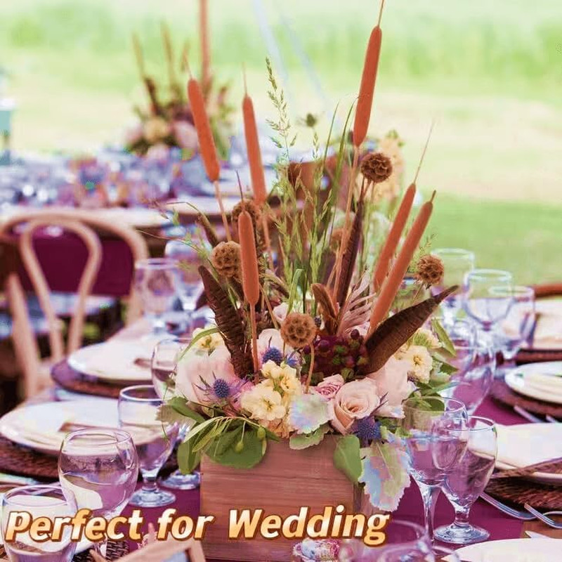 Dried Natural Brown Cattails Flowers – 20PCS Real Broadleaf Pencil Cattail Stems