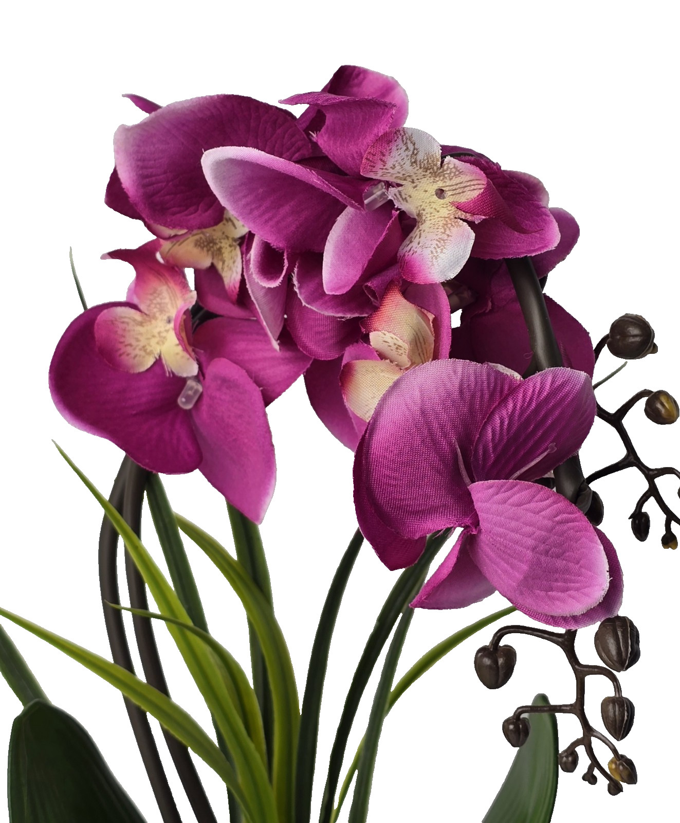 NEW Homeseasons Artificial Orchid w/ LED Lights & Timer 16″ Tall Original Box