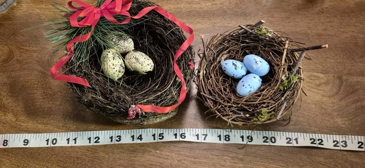 Lot Of 2 Bird Nest Nests With Eggs