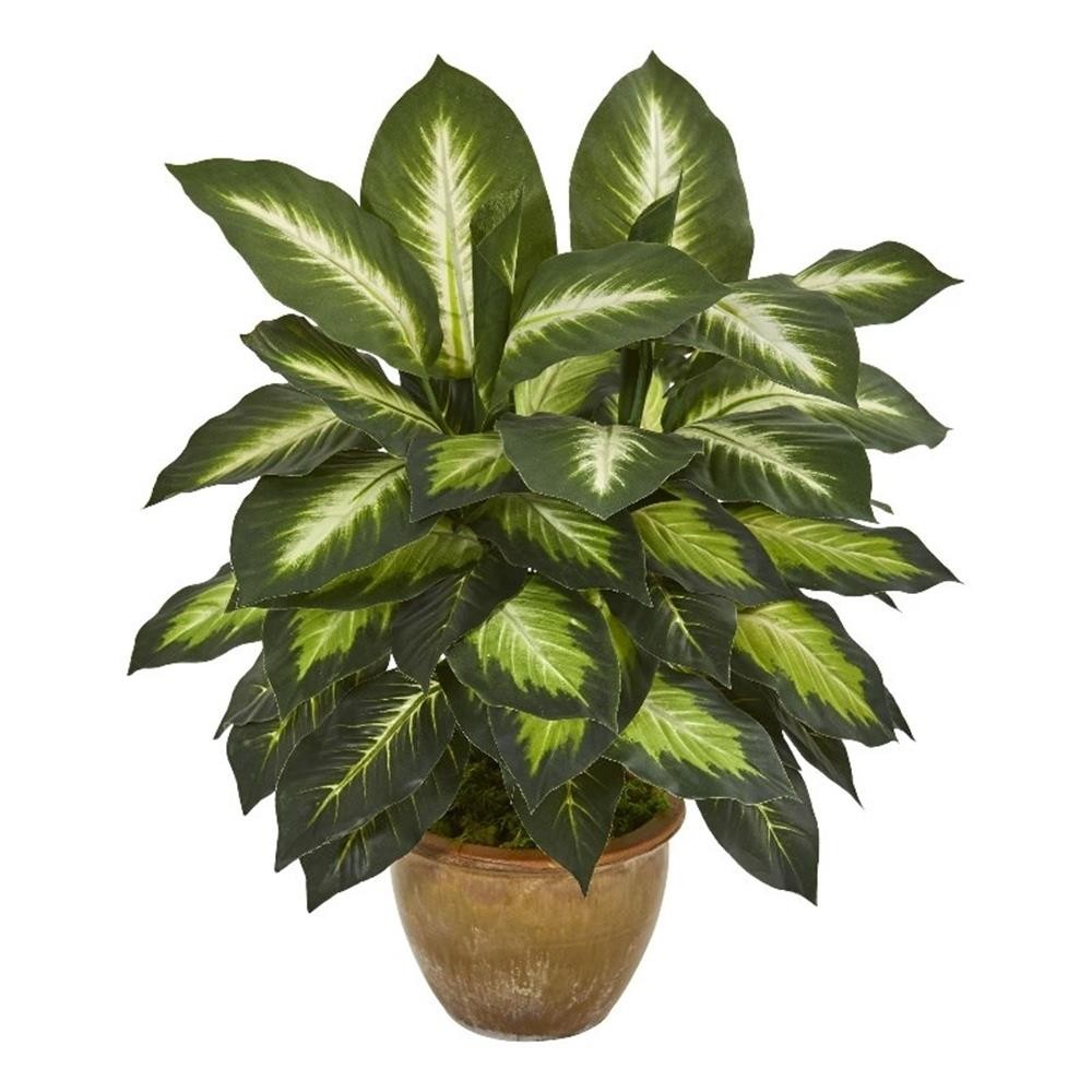 Nearly Natural Dieffenbachia Artificial Plant in Ceramic Planter in Green/Tan